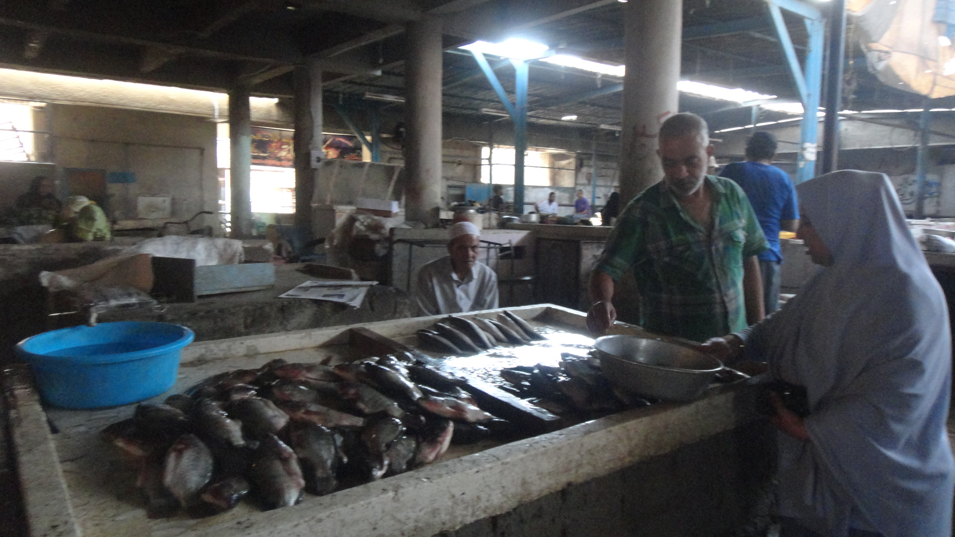  بالتفاصيل : إضراب بائعى السمك بسوق مبارك بكفر الشيخ