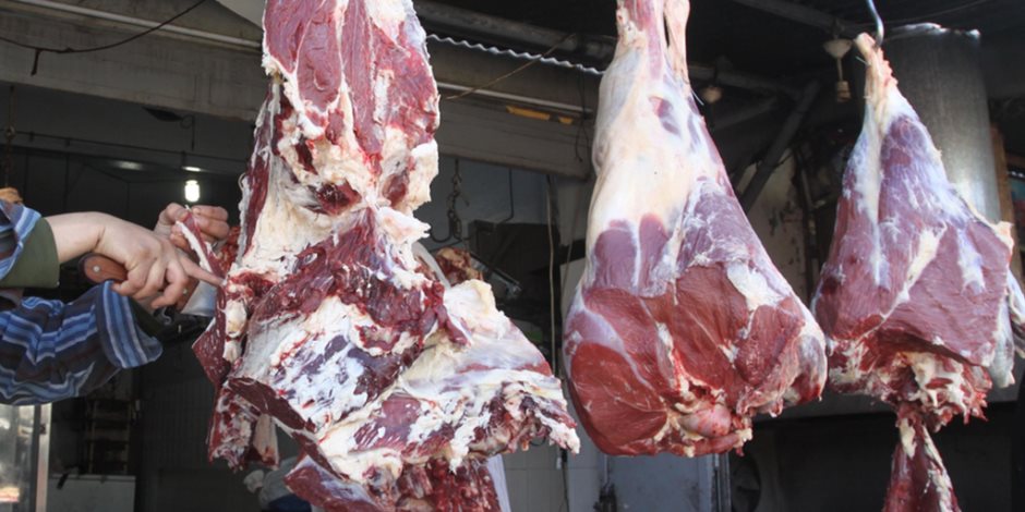  إقامة منافذ لتوفير اللحوم والمواد الغذائية بمدن وقرى كفر الشيخ بأسعار مخفضة