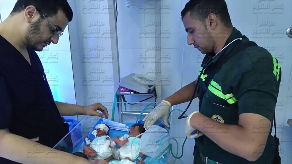  بالصور : إسعاف كفر الشيخ ينقل 3 توائم إلى حضان المستشفى العام