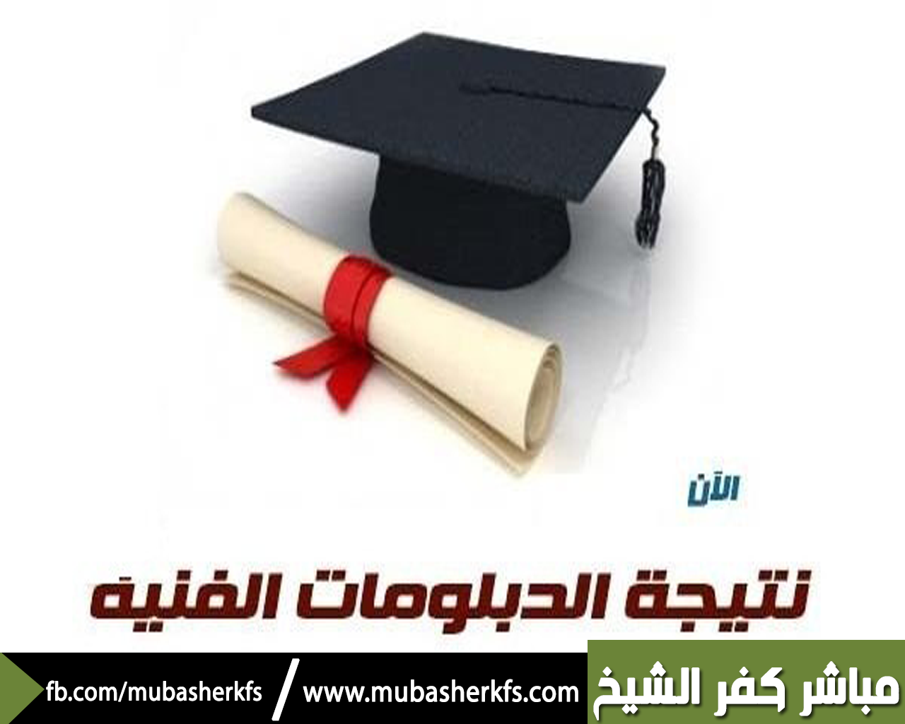 نتيجة الدبلومات الفنية 