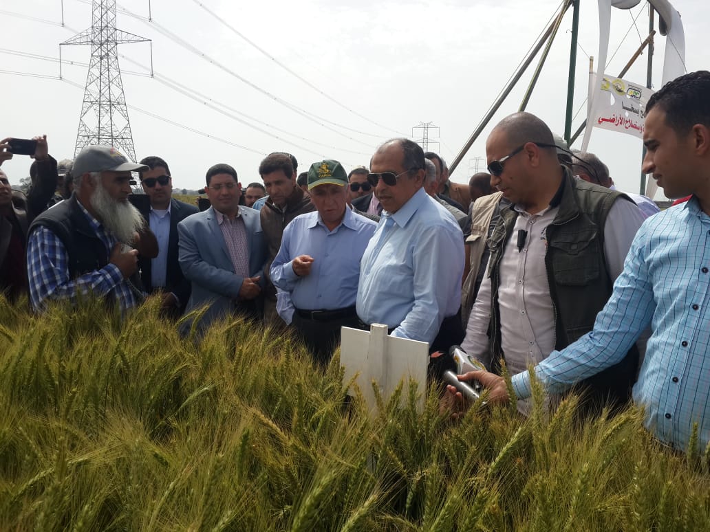  وزير الزراعة يتفقد محصول القمح بمحطة بحوث سخا فى كفر الشيخ