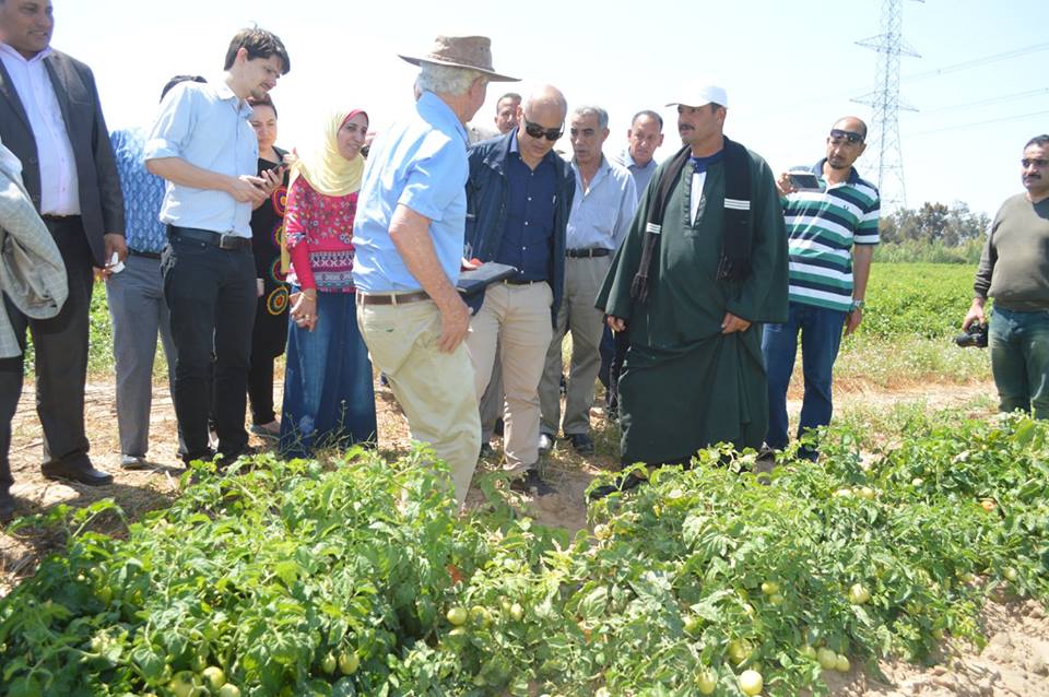  بالصور..  ‏‏زيارة وفد الصندوق الدولى للتنمية الزراعية‏ لمطوبس‏