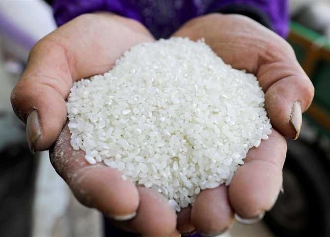   أسعار الأرز اليوم بمصر