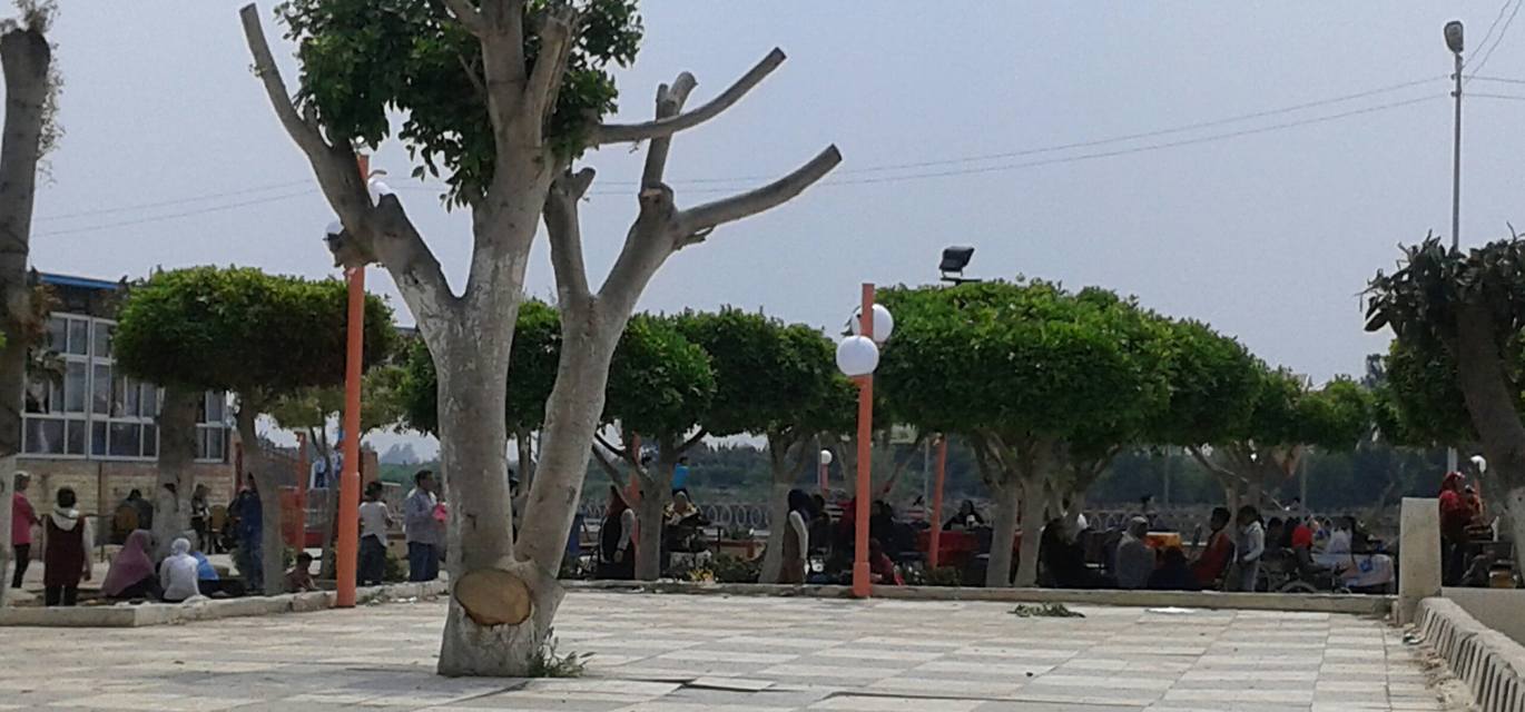  محافظ كفر الشيخ يُكلف بعدم استخدام حديقة العائلات الجديدة بفوه  بدون سداد الرسوم
